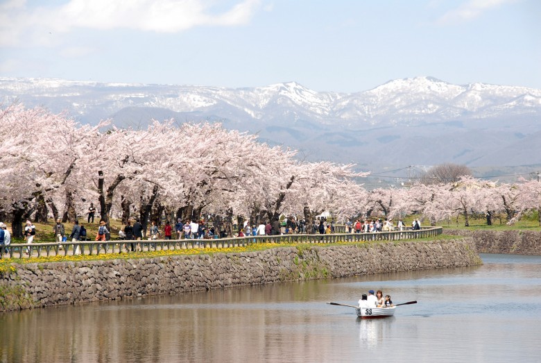 일본벚꽃기행-북해도