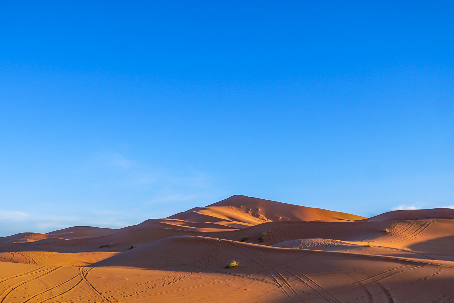 로아 붉은 모래 사막